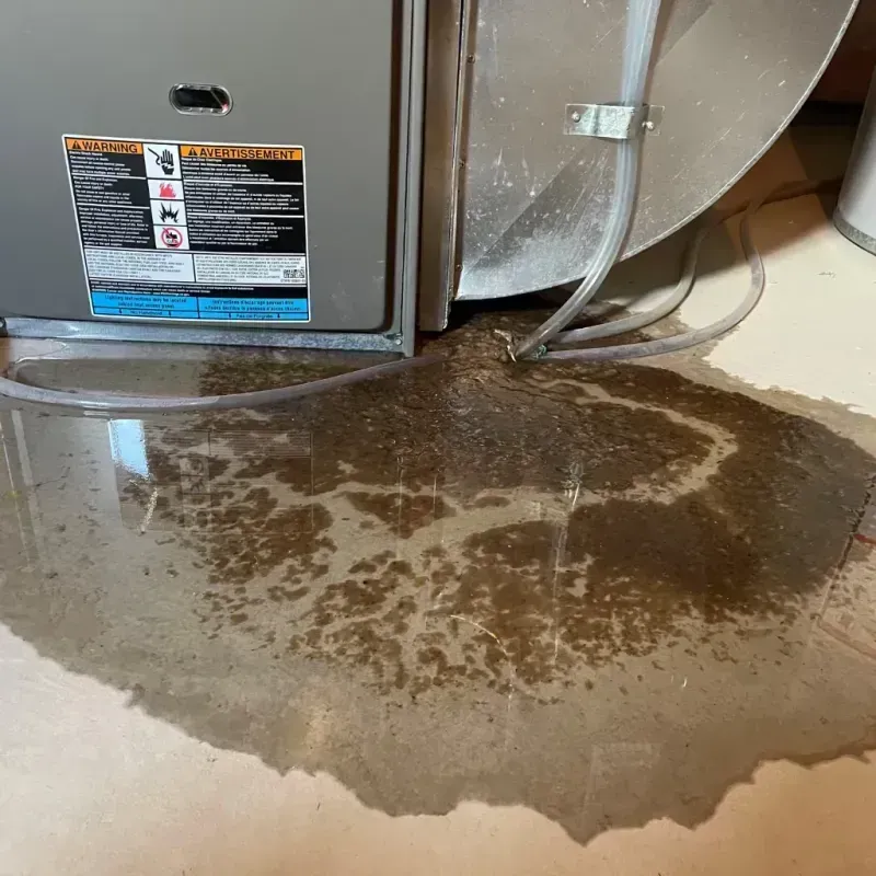 Appliance Leak Cleanup in Erie County, OH